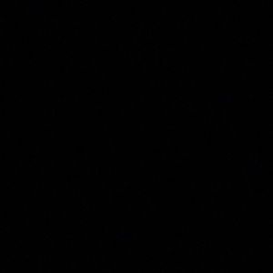 Meet your Posher, Alisha